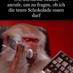 Meme des Tages