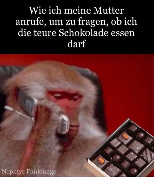 Meme des Tages