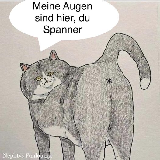 Meme des Tages