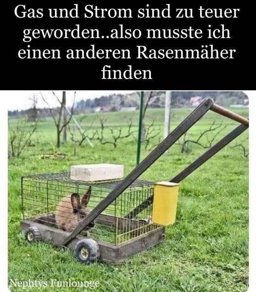 Meme des Tages