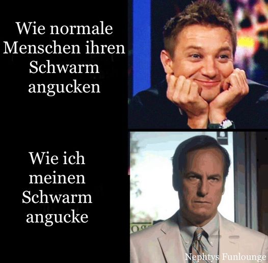 Meme des Tages