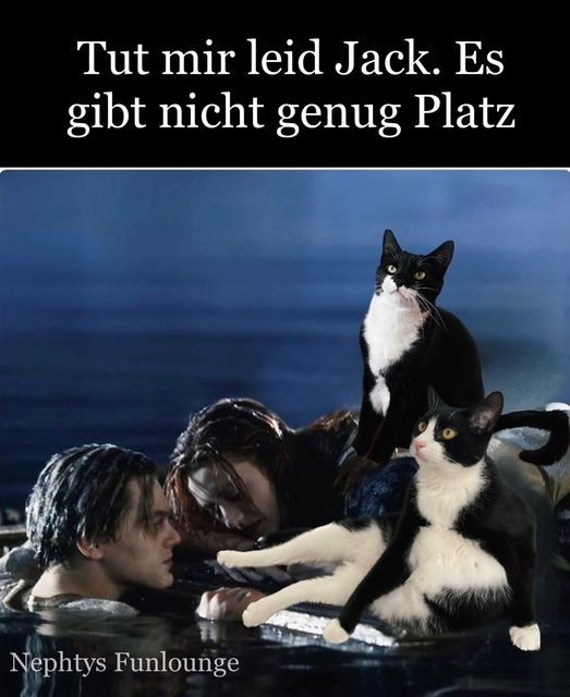 Meme des Tages