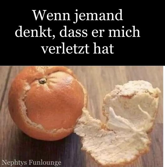 Meme des Tages