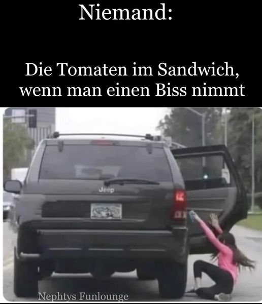 Meme des Tages