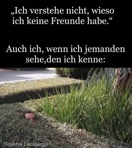 Meme des Tages