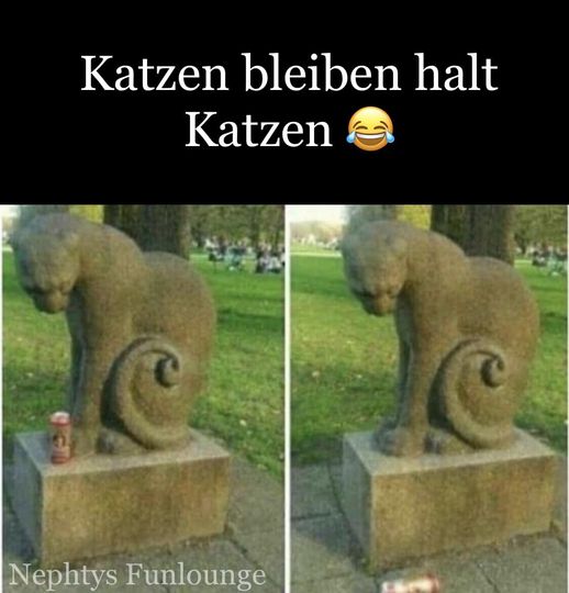 Meme des Tages