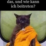 Meme des Tages