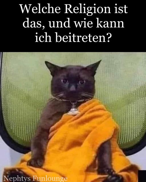 Meme des Tages