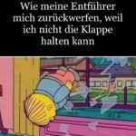 Meme des Tages