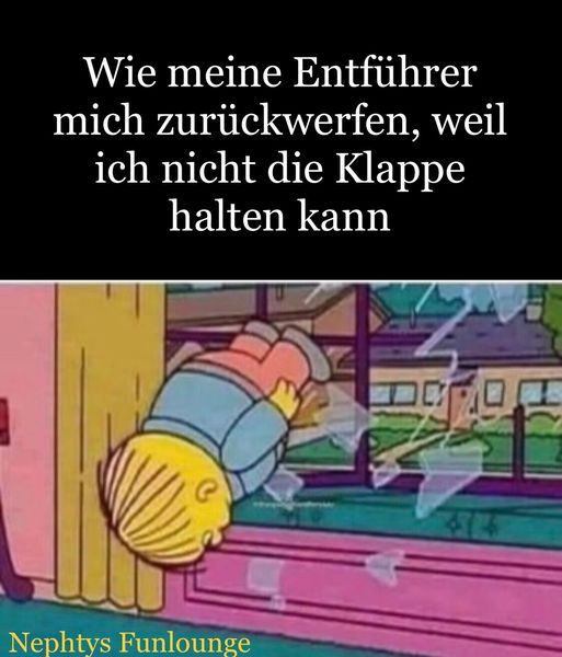 Meme des Tages