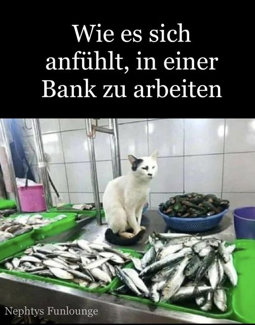 Meme des Tages