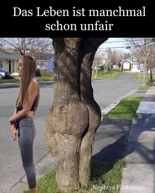 Meme des Tages