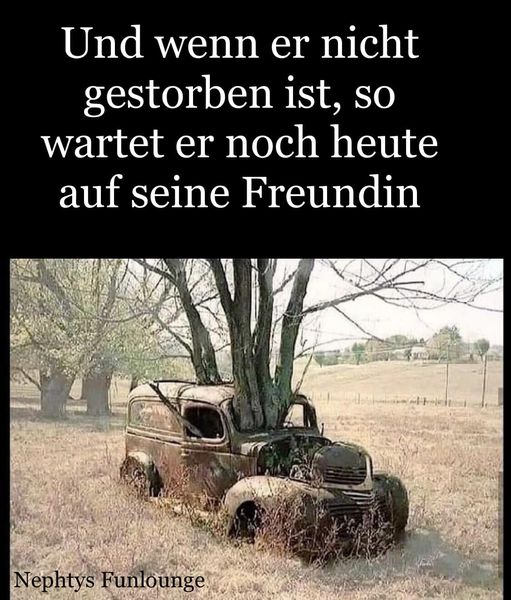 Meme des Tages