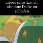 Meme des Tages