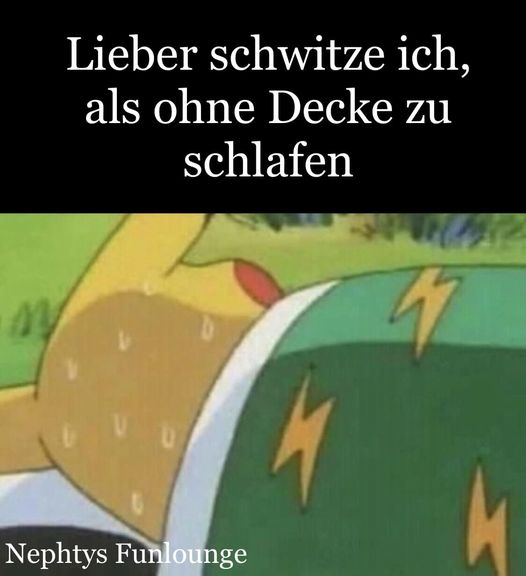 Meme des Tages