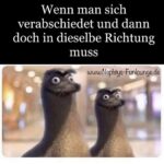 Meme des Tages