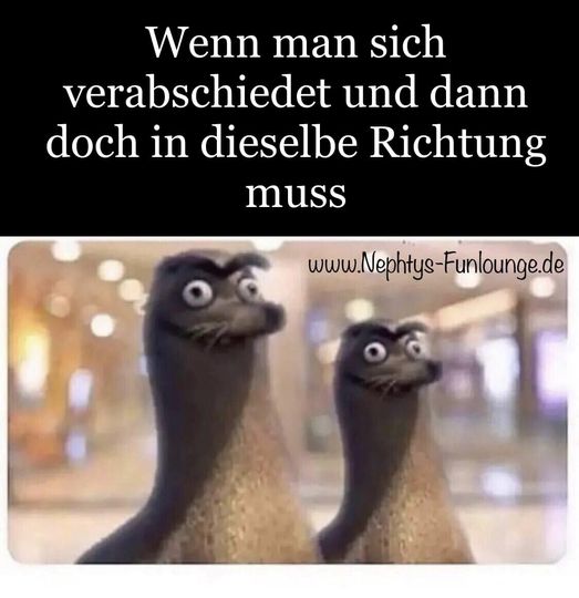 Meme des Tages