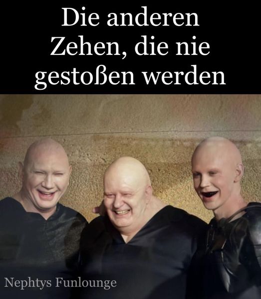 Meme des Tages