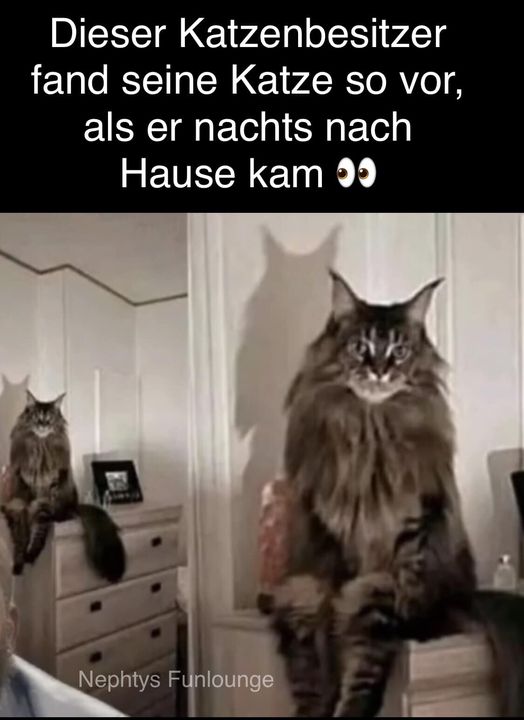 Meme des Tages