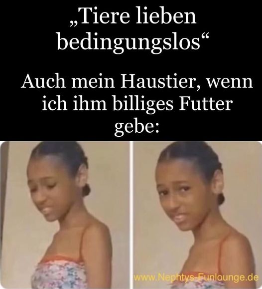 Meme des Tages