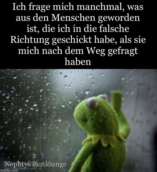 Meme des Tages